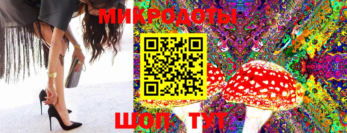 Советский  Псилоцибиновые грибы Psilocybine cubensis  Вход с VPN 
